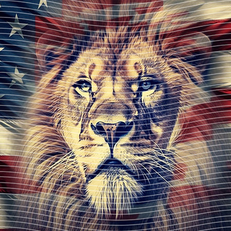 20oz integrate-EJ-10667